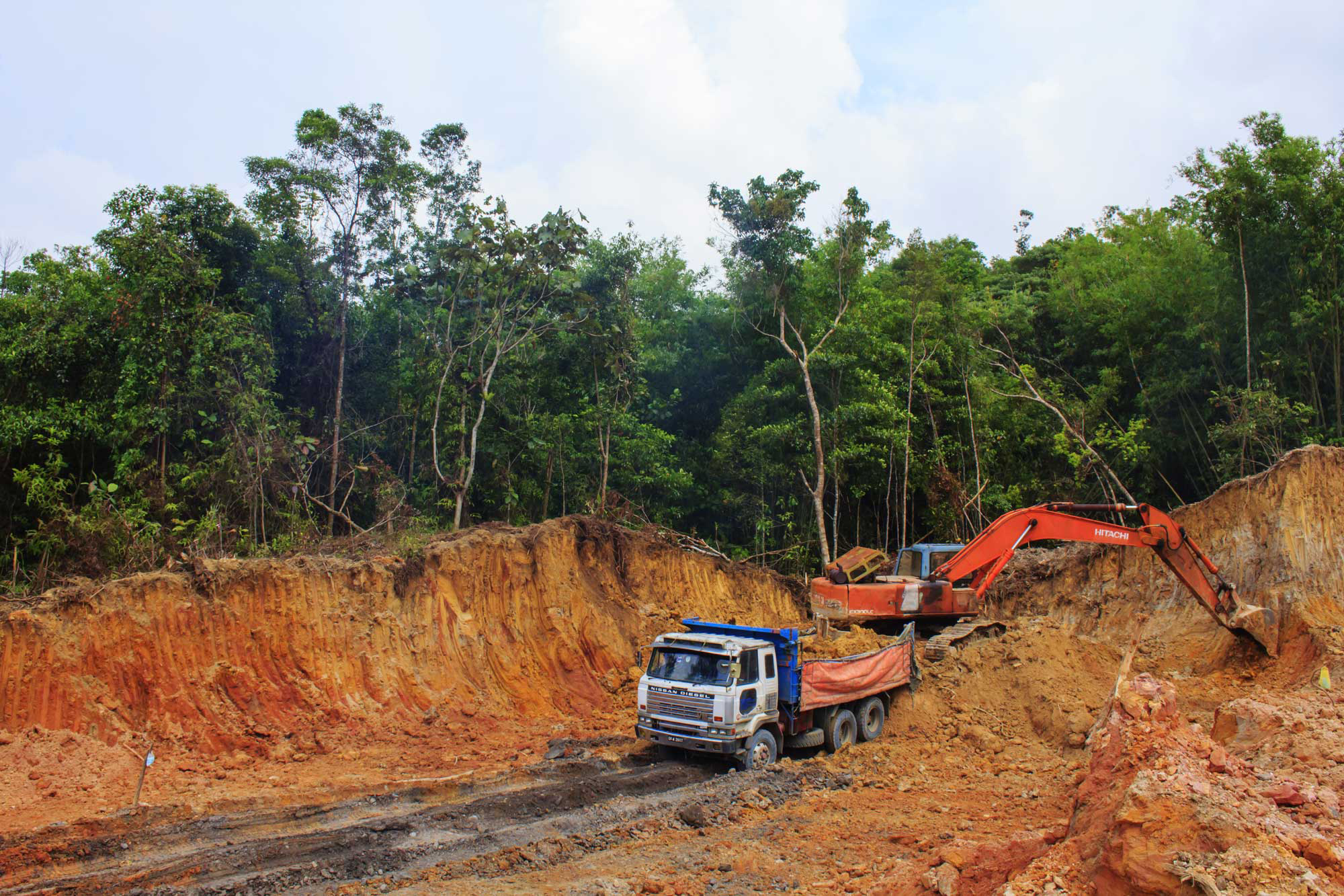 Deforestation to Borneo.